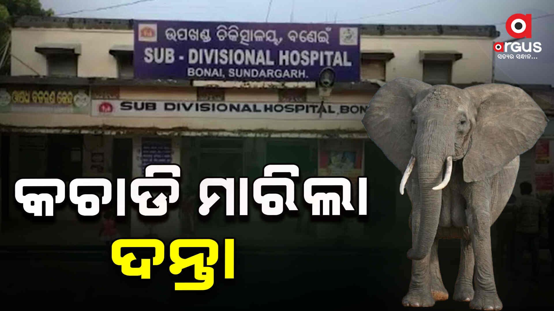 ଦନ୍ତା ଆକ୍ରମଣରେ ଜଣେ ମୃତ