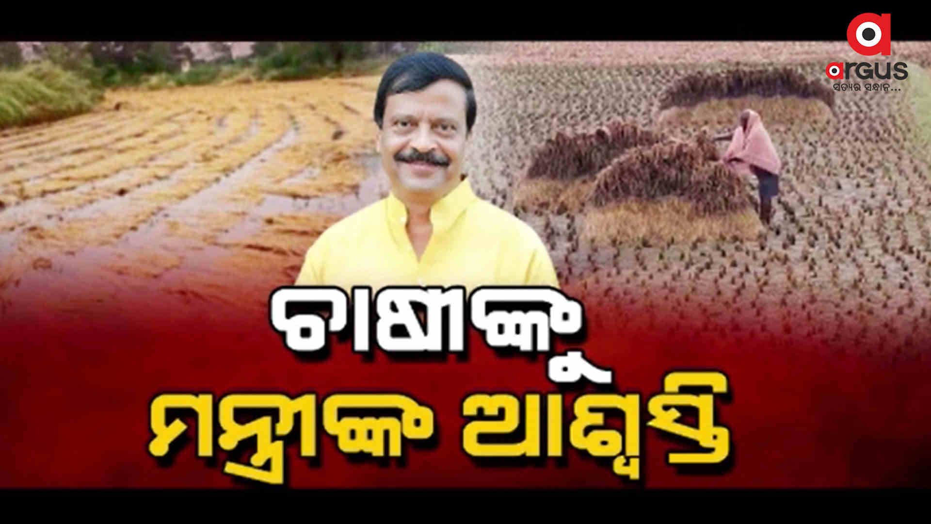 ଅଦିନିଆ ବର୍ଷା ହଜାଇ ଦେଇଛି ଉଭୟ ଚାଷୀ ଓ ସରକାରଙ୍କ ନିଦ