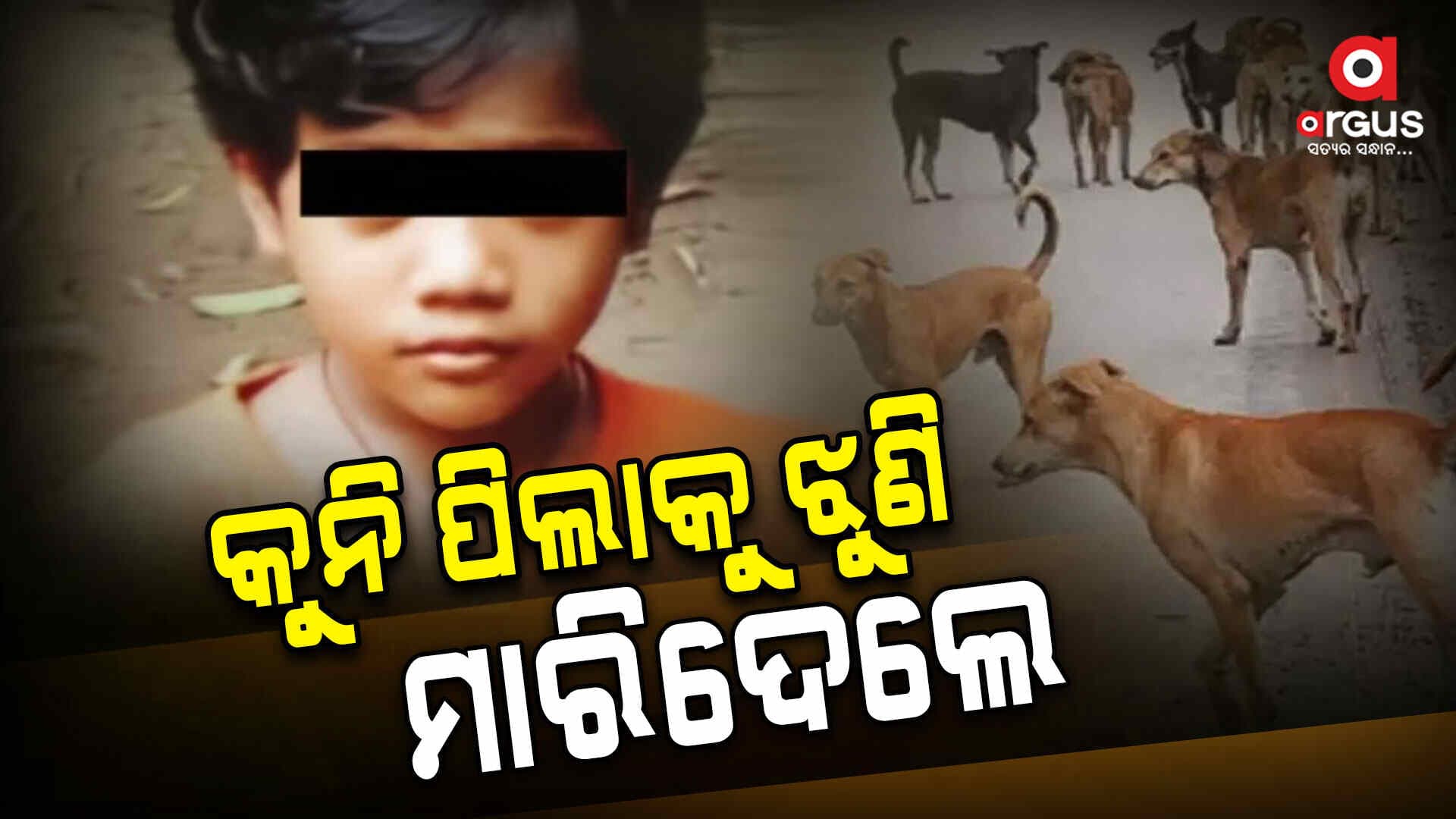 ବୋରିଗୁମାରେ ବୁଲା କୁକୁରଙ୍କ ଉତ୍ପାତ: ୬ବର୍ଷର ଝିଅକୁ ଝୁଣି ମାରିଦେଲେ