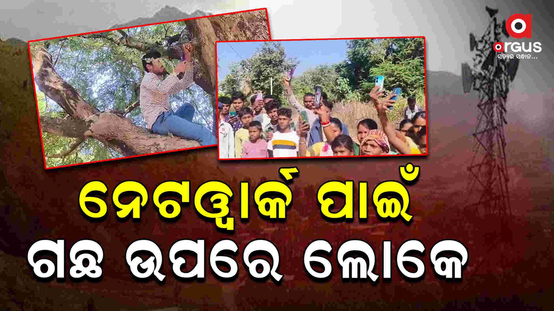 ଉପାନ୍ତ କର୍ଲାପାଣିରେ ନେଟୱାର୍କ ସାତ ସପନ 