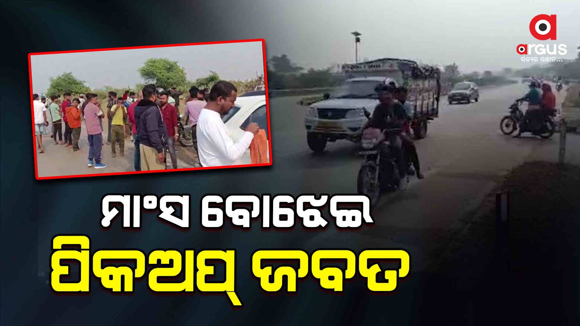 ମାଂସ ବୋଝେଇ ପିକଅପ୍ ଜବତ, ଗାଡି ଚାଳକ ଅଟକ