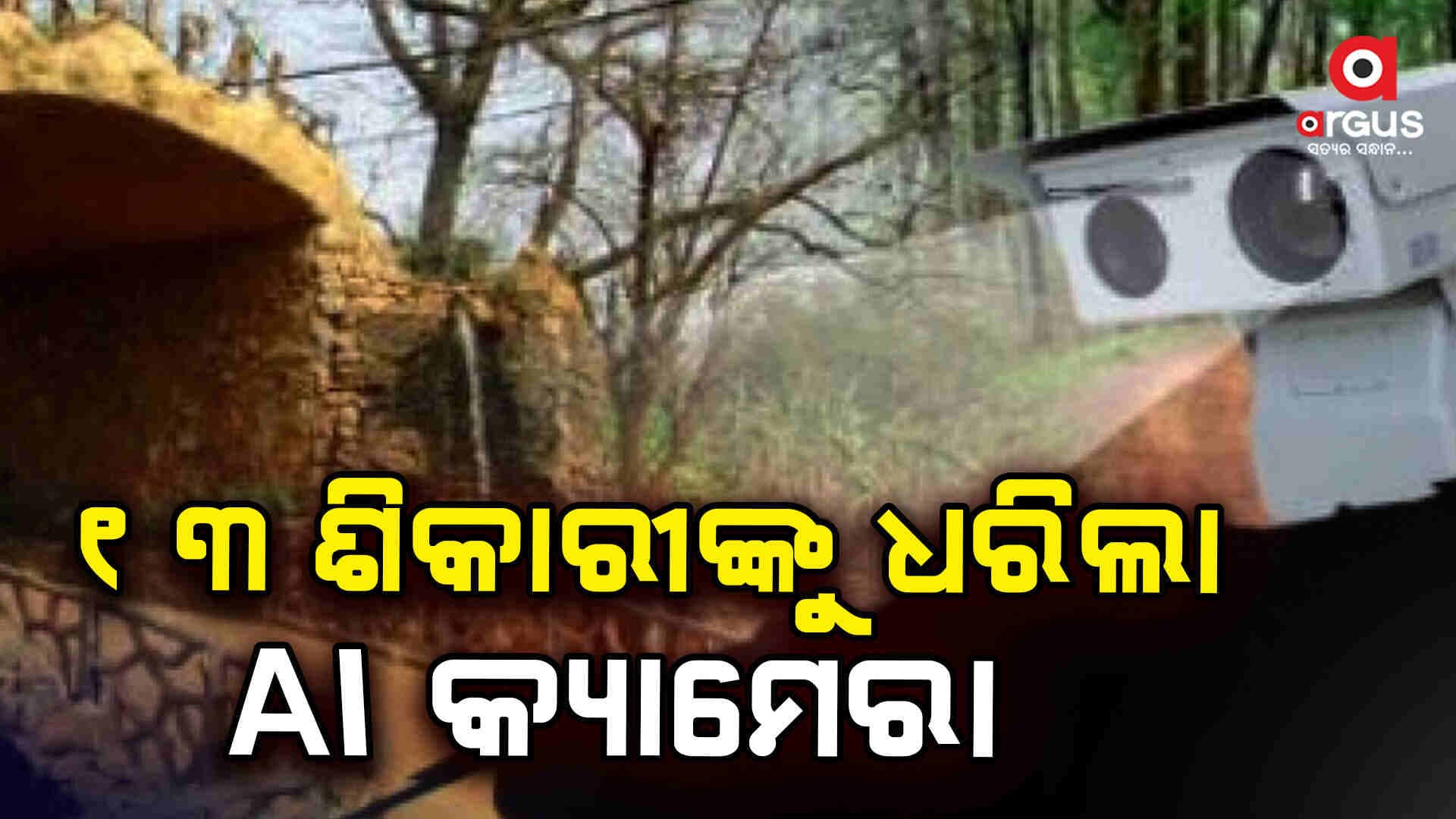 ଶିମିଳିପାଳରୁ ପୁଣି ୧୩ ଶିକାରୀ ଗିରଫ 