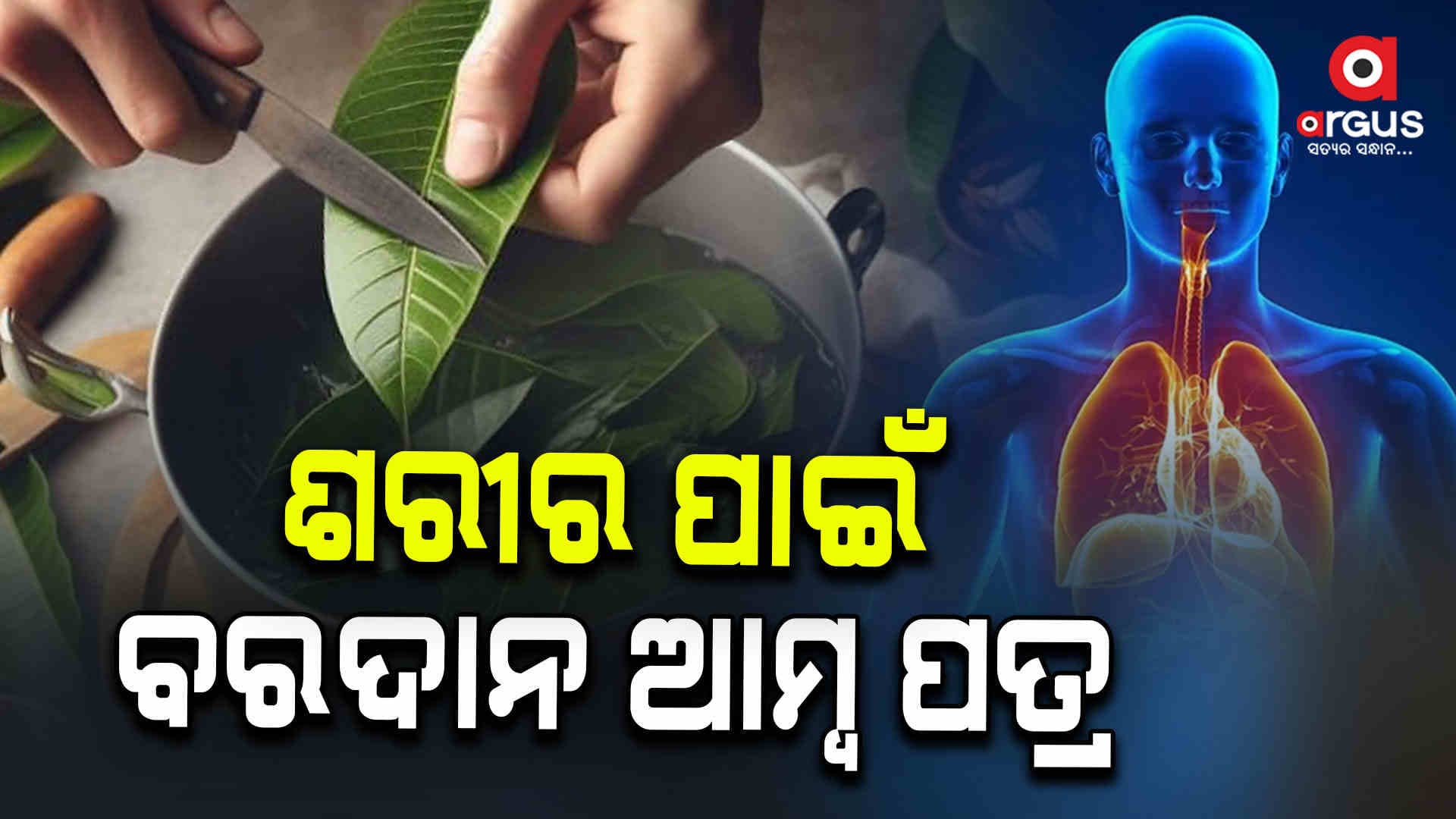 ଶରୀରକୁ ସୁସ୍ଥ ରଖିବ ଆମ୍ଵ ପତ୍ର 