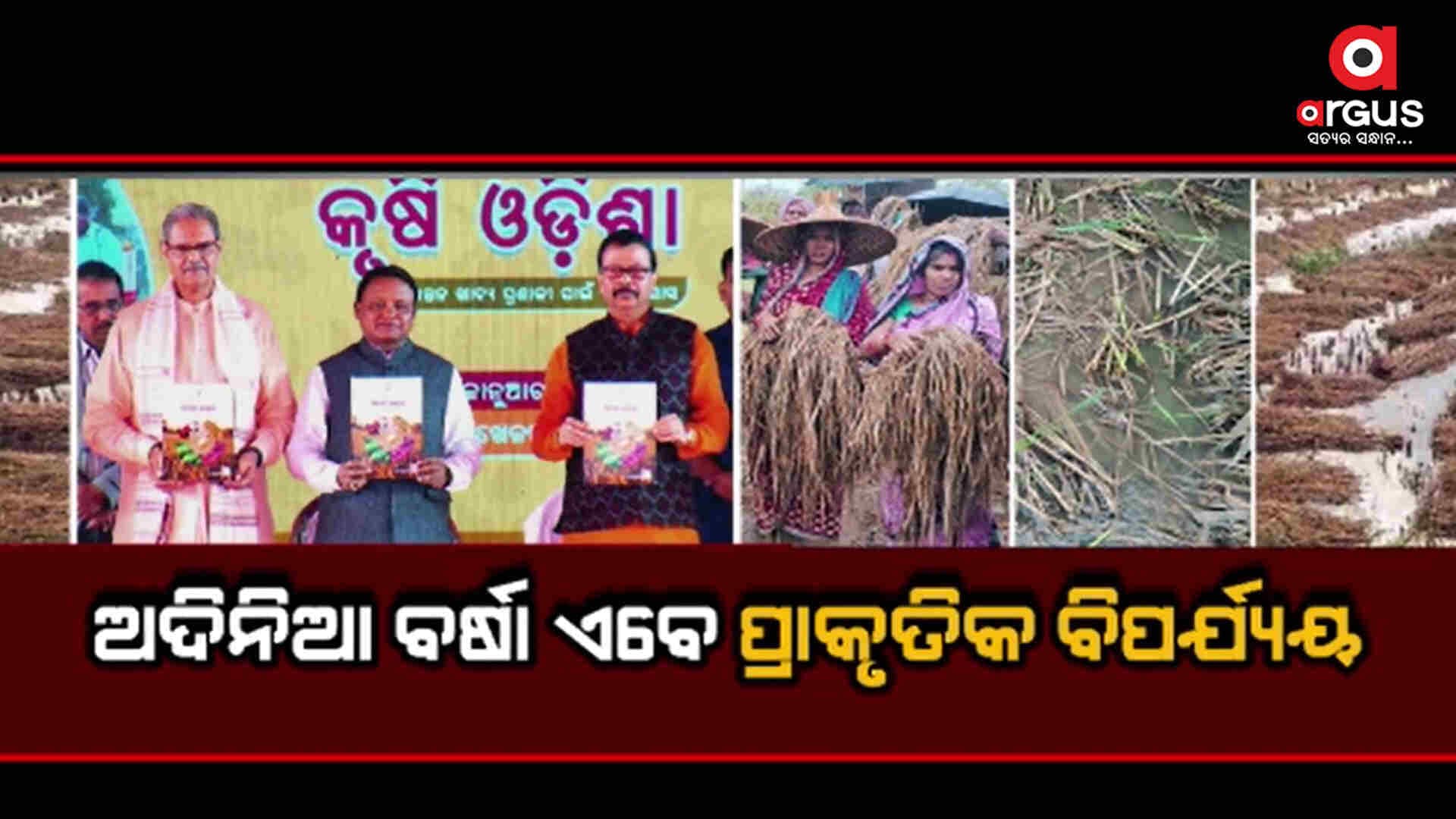 33 ପ୍ରତିଶତ କ୍ଷତି ହୋଇଥିବା ଚାଷୀଙ୍କୁ ମିଳିବ କ୍ଷତିପୁରଣ