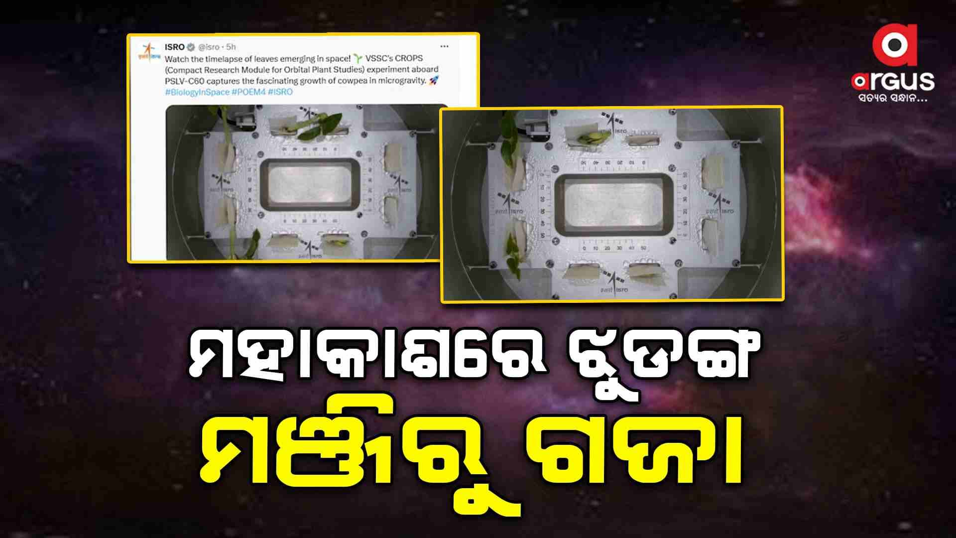 ମହାକାଶରେ ଗଜା ହୋଇଥିବା ଝୁଡଙ୍ଗ ମଞ୍ଜିର ଭିଡିଓ ଜାରି କଲା ଇସ୍ରୋ