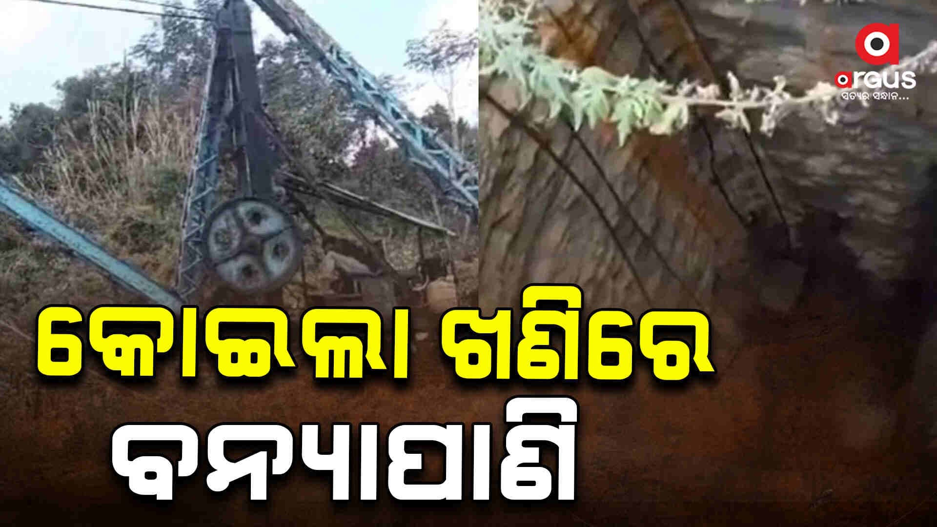 କୋଇଲା ଖଣିରେ ବନ୍ୟାପାଣି: ୫ ମୃତ