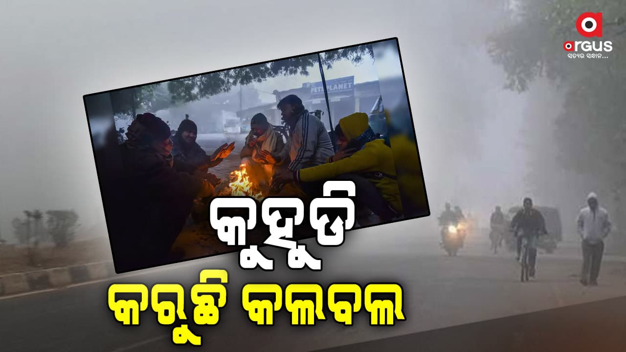 କଲବଲ କରୁଛି ଘନକୁହୁଡି, ୨ ରୁ ୪ ଡିଗ୍ରୀ ତାପମାତ୍ରା ବୃଦ୍ଧି