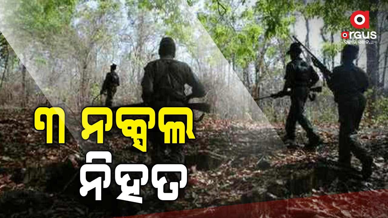 ଘଞ୍ଚ ଜଙ୍ଗଲରେ ସୁରକ୍ଷାକର୍ମୀଙ୍କୁ ବଡ଼ ସଫଳତା, ଟଳିଲେ ୩ ନକ୍ସଲ 