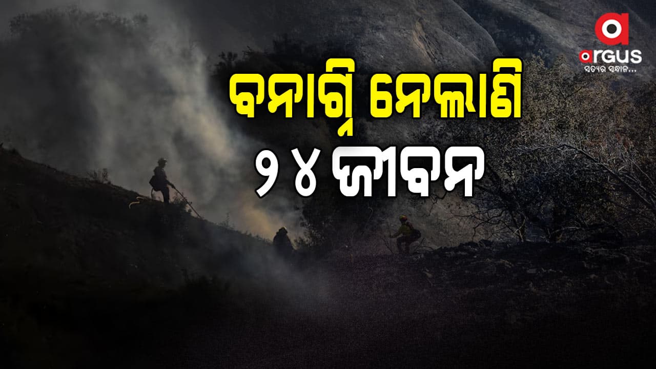 ୭ ଦିନ ହେଲା କାଲିଫର୍ଣ୍ଣିଆରେ ଜଳୁଛି ଜଙ୍ଗଲ, ଅଷ୍ଟ୍ରେଲୀୟ ଟିଭି ଅଭିନେତାଙ୍କ ସମେତ ୨୪ ମୃତ