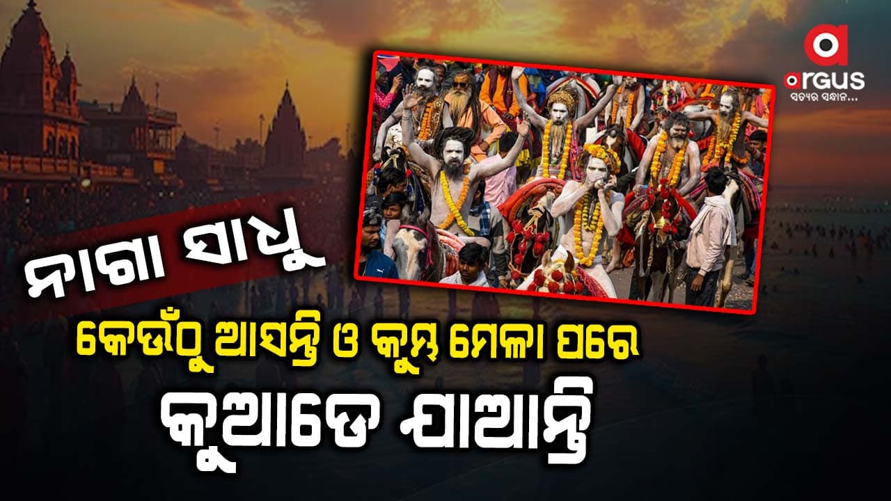 ନାଗା ସାଧୁଙ୍କ ରହସ୍ୟ, କେଉଁଠୁ ଆସନ୍ତି ଓ କୁମ୍ଭ ମେଳା ପରେ କୁଆଡେ ଯାଆନ୍ତି 
