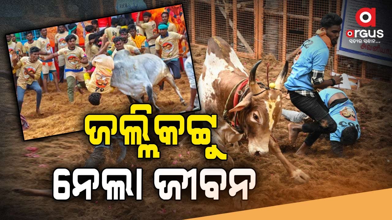 ଜଲ୍ଲିକଟ୍ଟୁ ପ୍ରତିଯୋଗିତାରେ ଅଘଟଣ: ଷଣ୍ଢଙ୍କୁ କାବୁ ବେଳେ ଯୁବକ ମୃତ, ୭୫ ଆହତ 