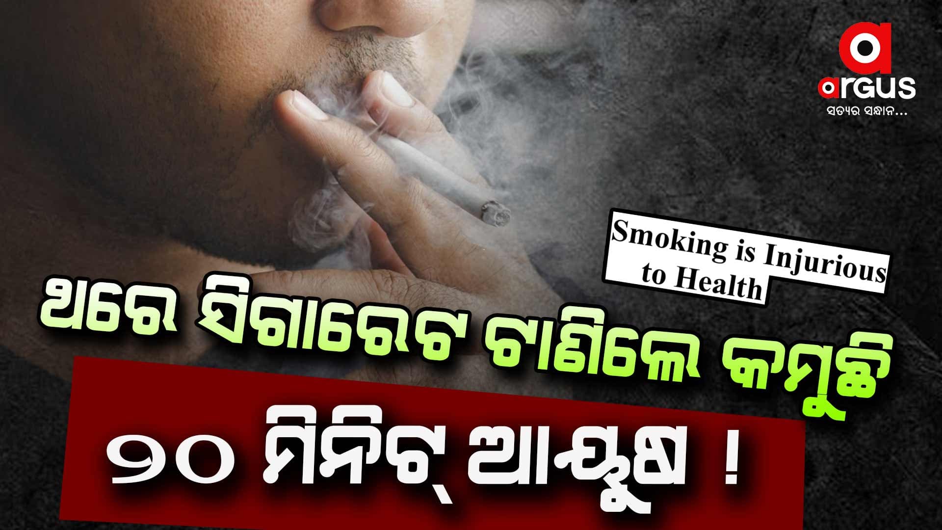 ସିଗାରେଟ ପାଇଁ କେତେ ଲୋକଙ୍କର ଜୀବନ ଯାଉଛି ?