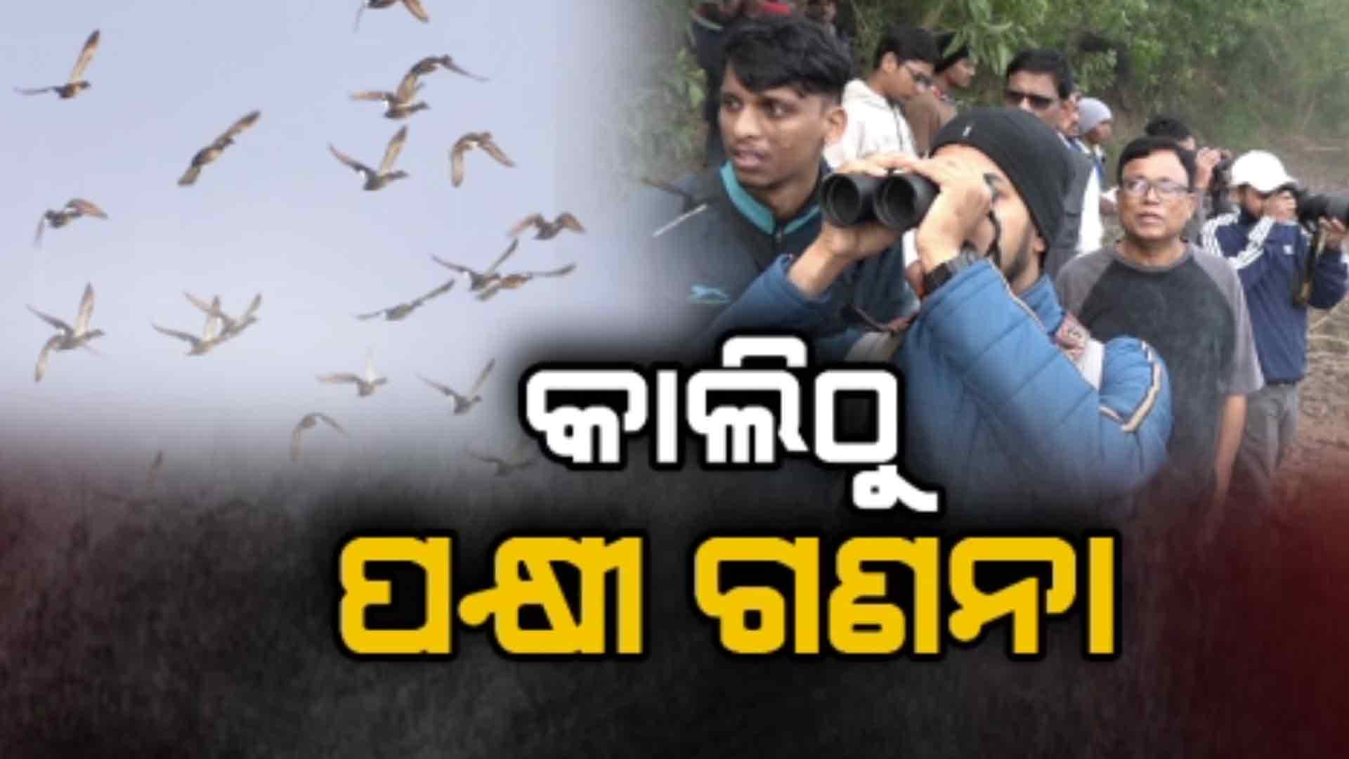 ଗୋଟିଏ ଦିନରେ ସରିବ ପକ୍ଷୀ ଗଣନା କାର୍ଯ୍ୟ