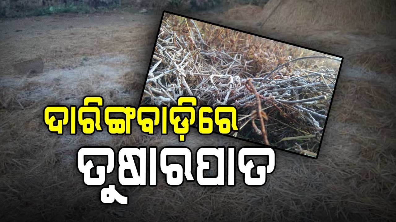 ଜାଡ଼ରେ ଥରୁଛି ଦାରିଙ୍ଗବାଡ଼ି ପୁଣି ଦାରିଙ୍ଗବାଡ଼ିରେ ତୁଷାରପାତ