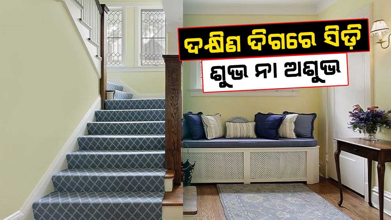 କେଉଁ ଦିଗରେ ସିଡ଼ି ରଖିବା ଉଚିତ୍ ନୁହେଁ ? 