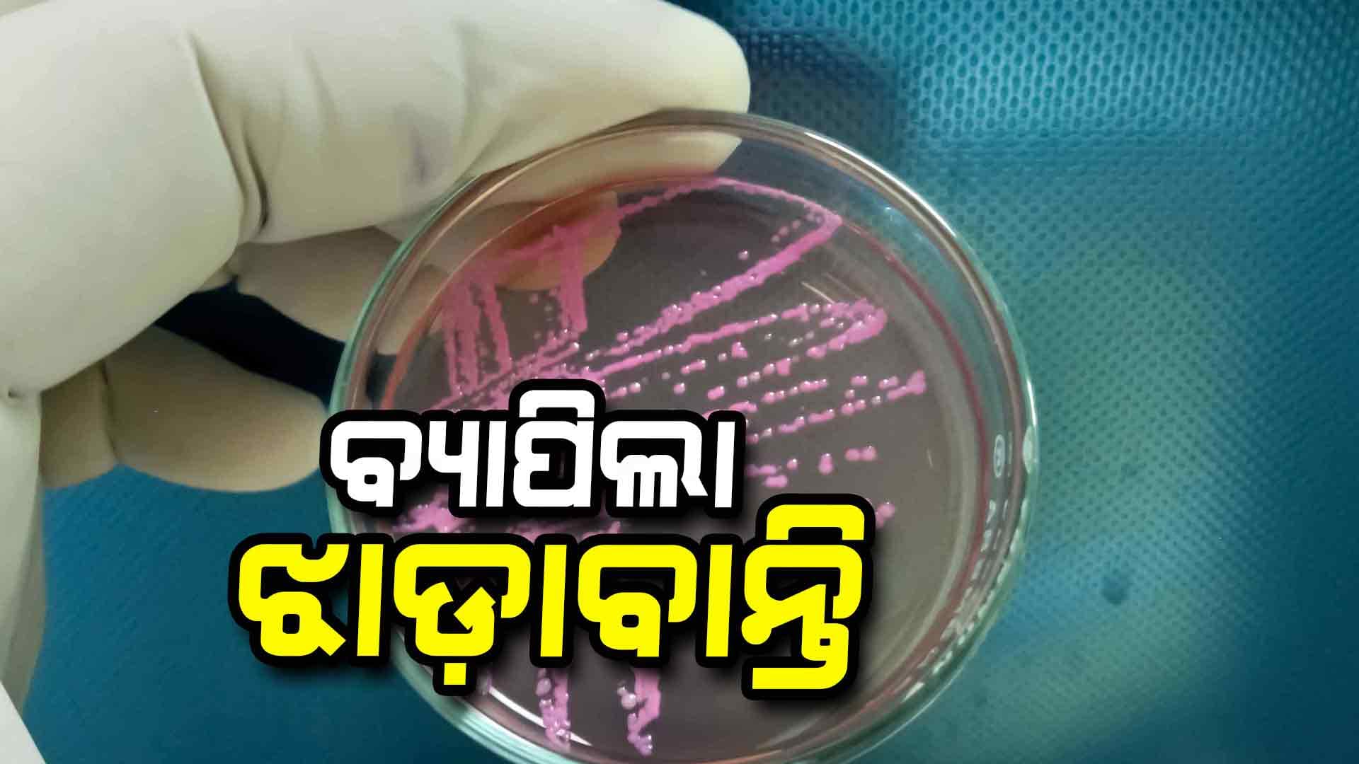 ବ୍ୟାପିଲା ଝାଡାବାନ୍ତି, ୧୫୦ ଆକ୍ରାନ୍ତ
