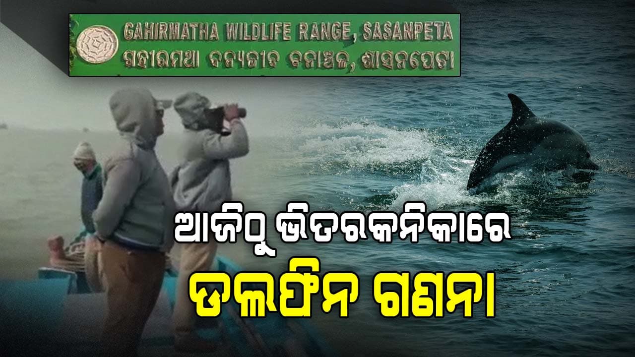 ୨ ଦିନ ଧରି ଭିତରକନିକାରେ ହେବ ଡଲଫିନ ଗଣନା