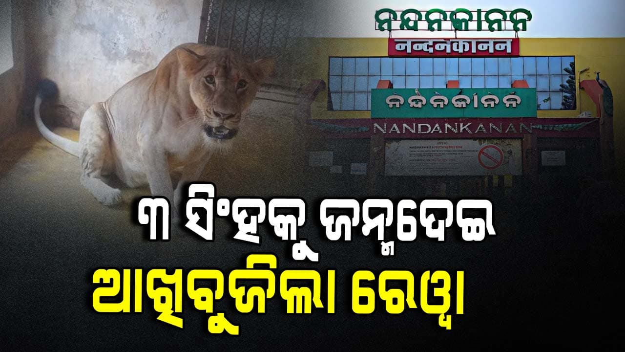 ନନ୍ଦନକାନନରେ ସିଂହୀ ରେୱା ମୃତ 