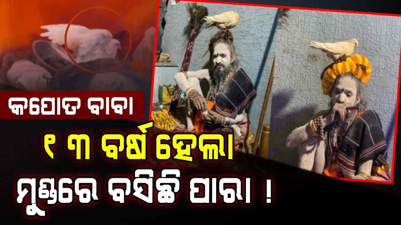 Maha Kumbhmela: ସୋସିଆଲ ମିଡିଆରେ କପୋତ ବାବା କ୍ରେଜ୍ !