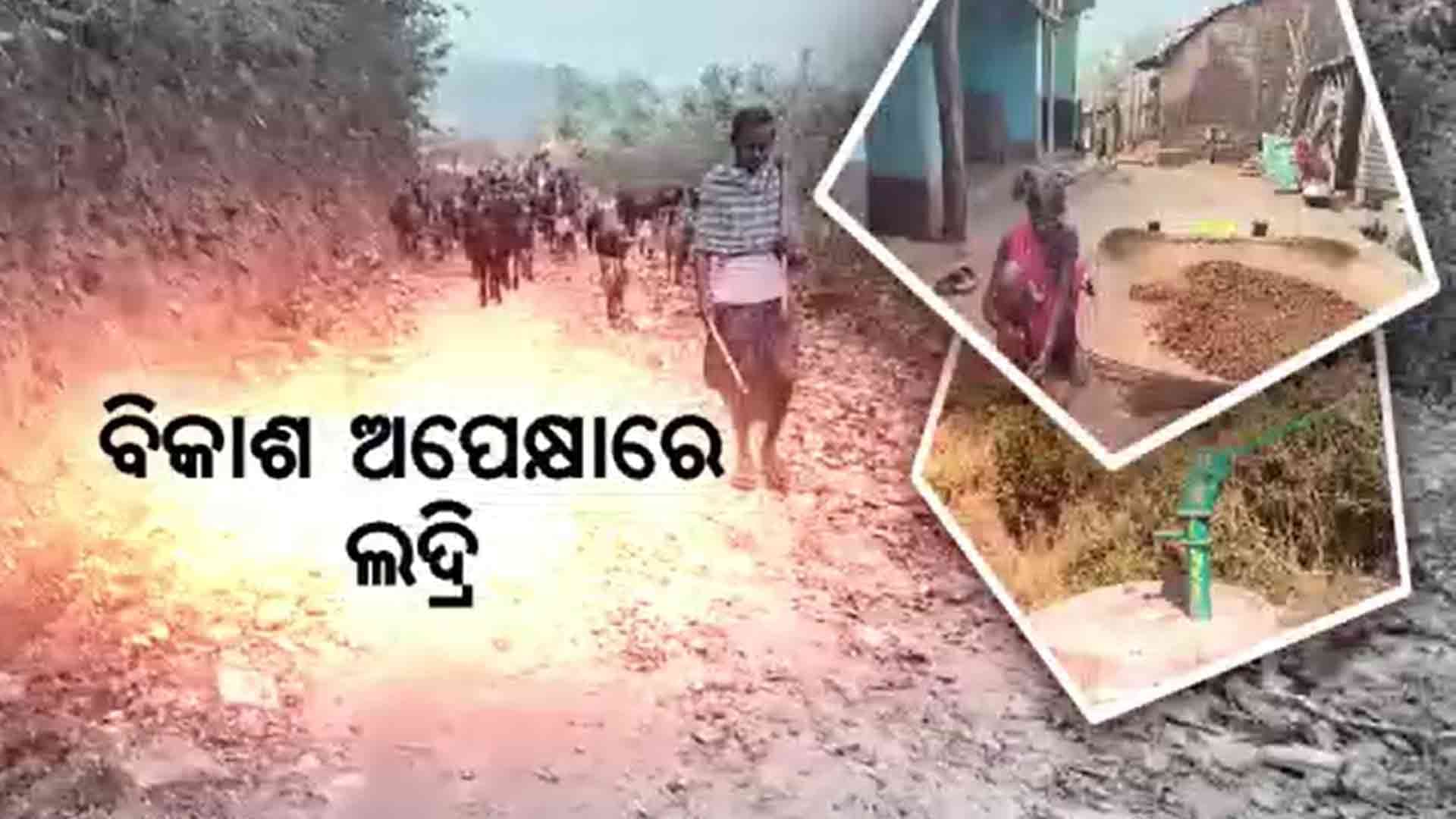 ବିକାଶ ଅପେକ୍ଷାରେ ଲଦ୍ରି, ପ୍ରକୃତି କୋଳରେ ଅଭିଶପ୍ତ ଗାଁ 