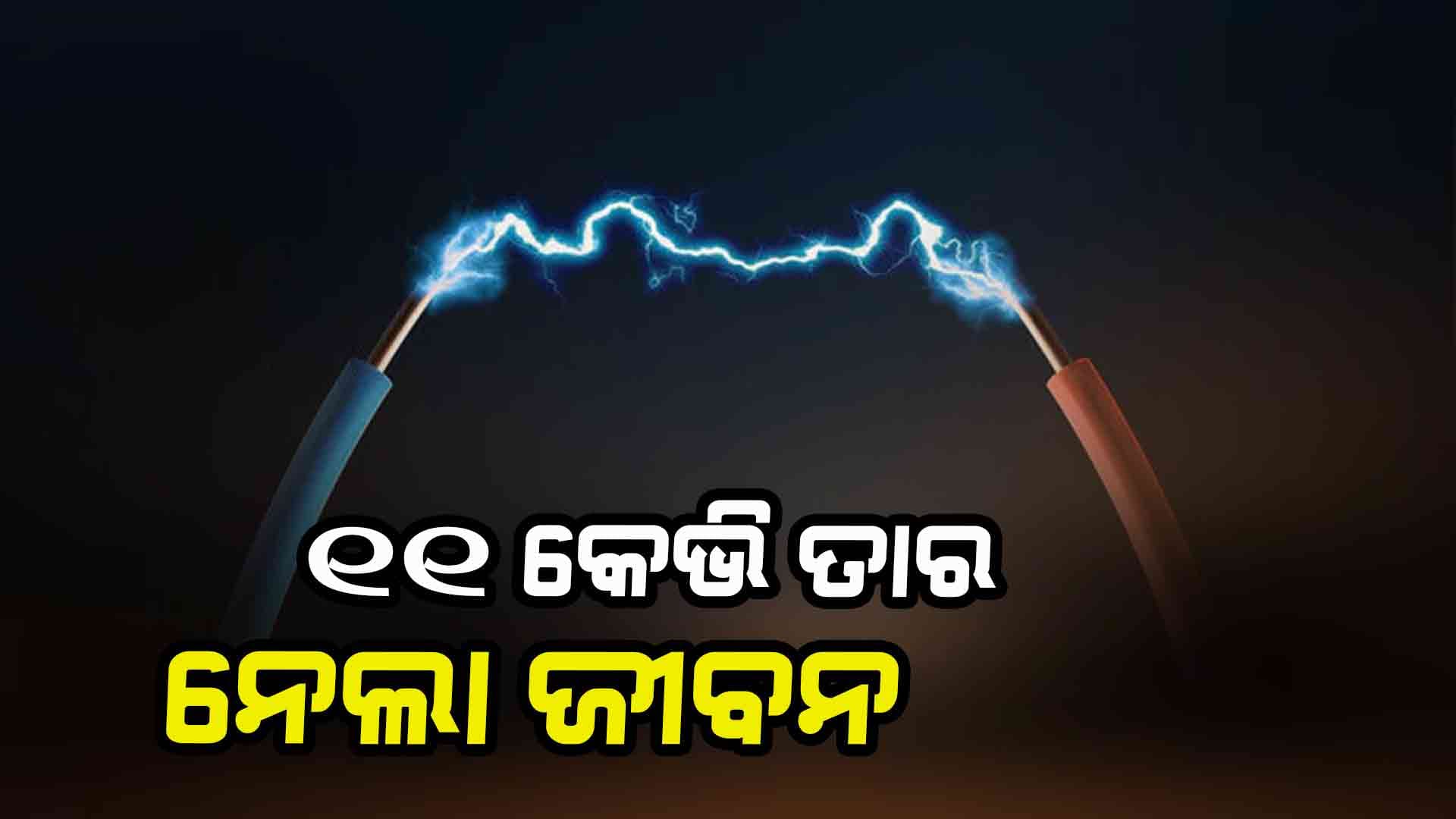 ବିଦ୍ୟୁତ୍ ତାର ସଂସ୍ପର୍ଶରେ ଆସି ଯୁବକଙ୍କ ମୃତ୍ୟୁ