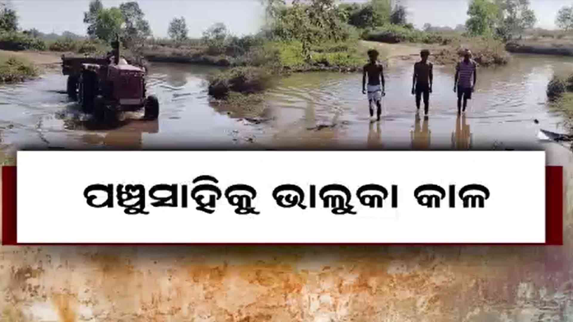 ଦୁଃଖ ଦେଉଛି ଭାଲୁକା ନାଳ