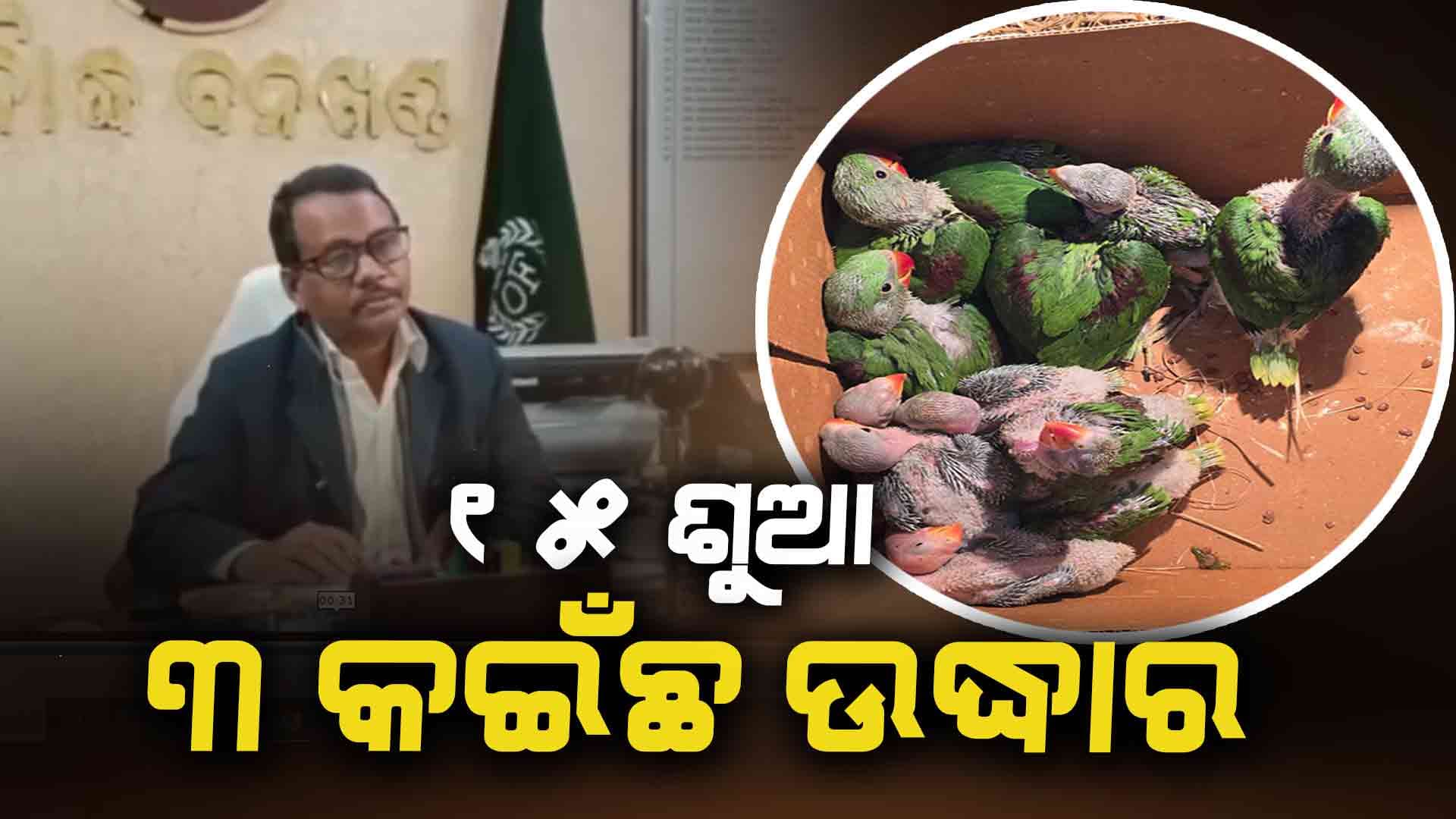 ୧୫ ଶୁଆ ୩ କଇଁଛ ଉଦ୍ଧାର, ୪ ଗିରଫ 