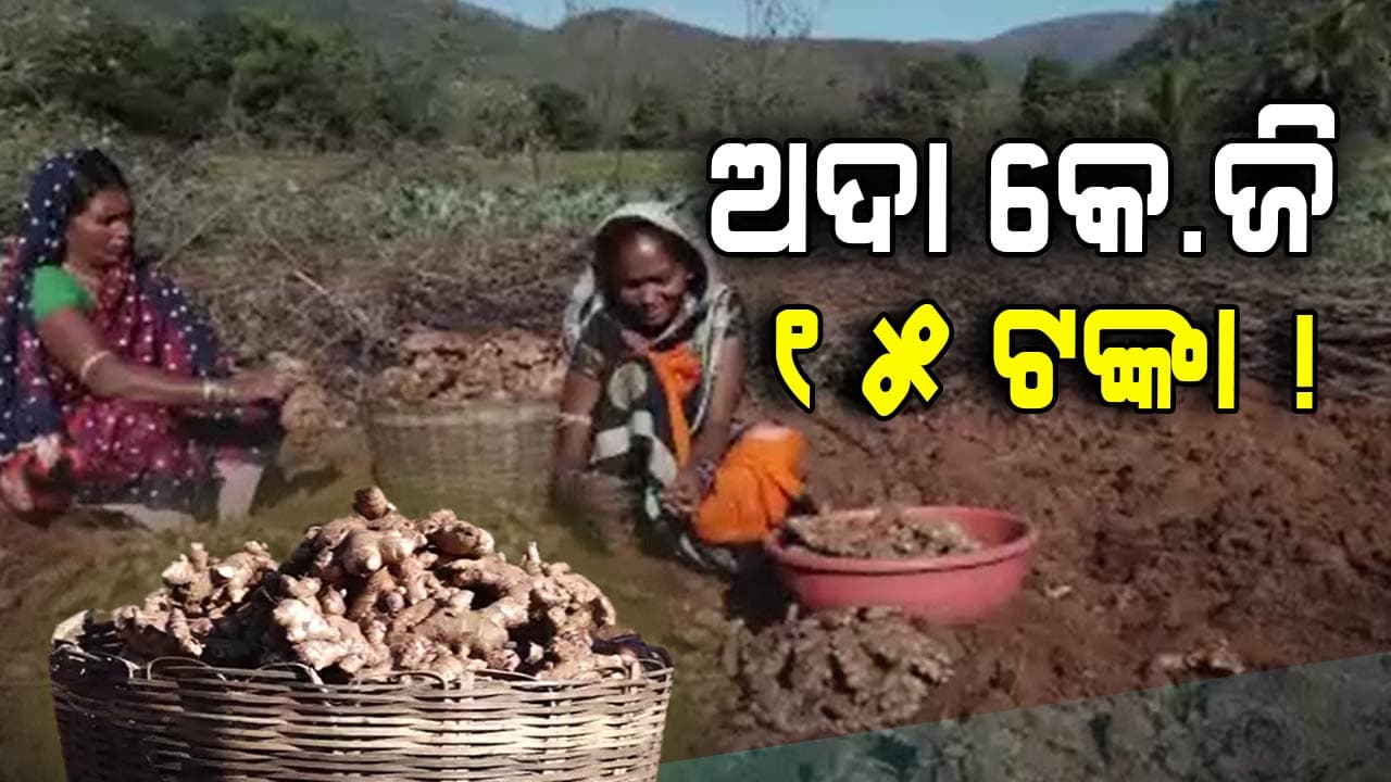 ଦିନେ ଅନ୍ଧ୍ରରୁ ଓଡ଼ିଶା ଆସୁଥିଲେ ଦାଦନ, ଏବେ ସ୍ଥିତି ପୂରା ଓଲଟା !