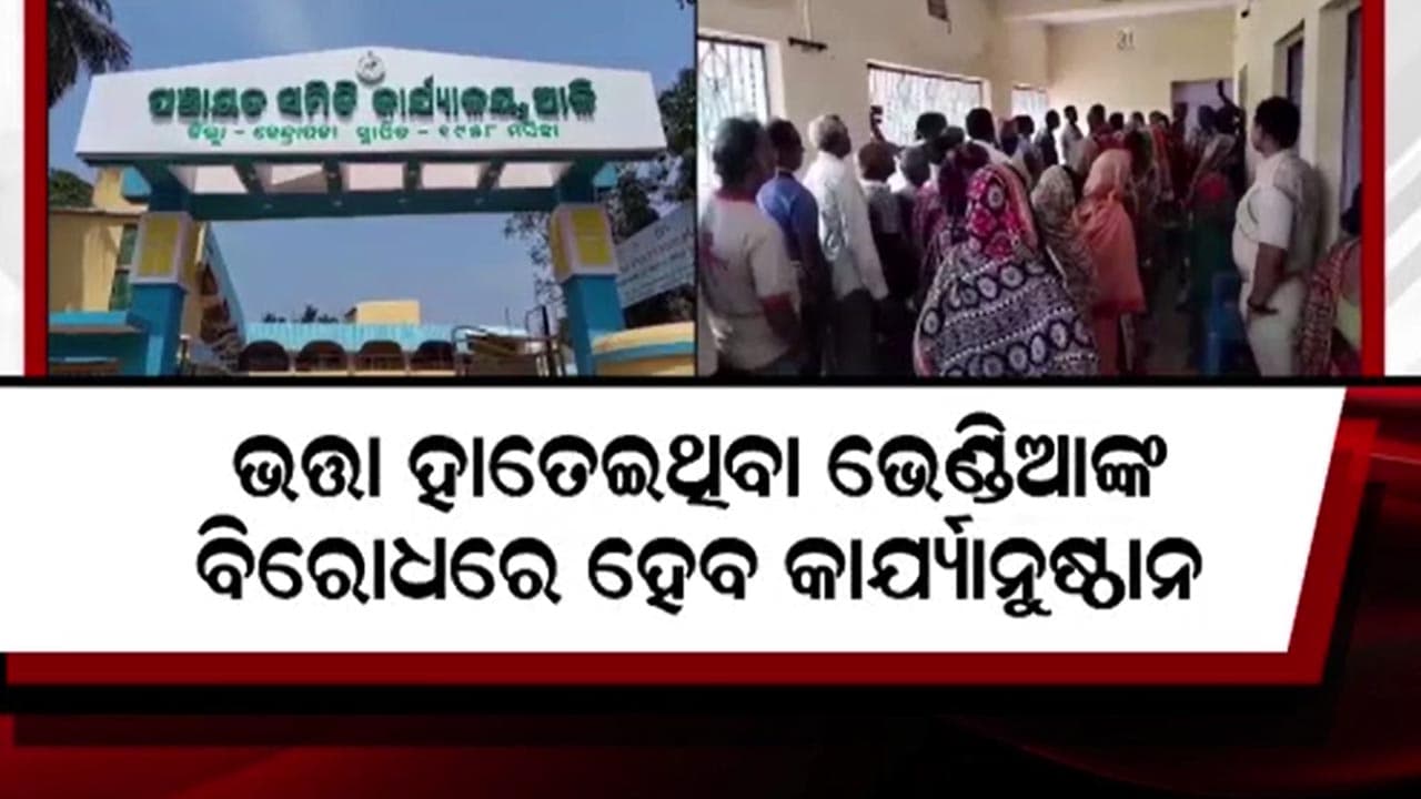 ଭତ୍ତା ନେଇଥିବା ଭେଣ୍ଡିଆଙ୍କ ମଧ୍ୟରେ ଛନକା