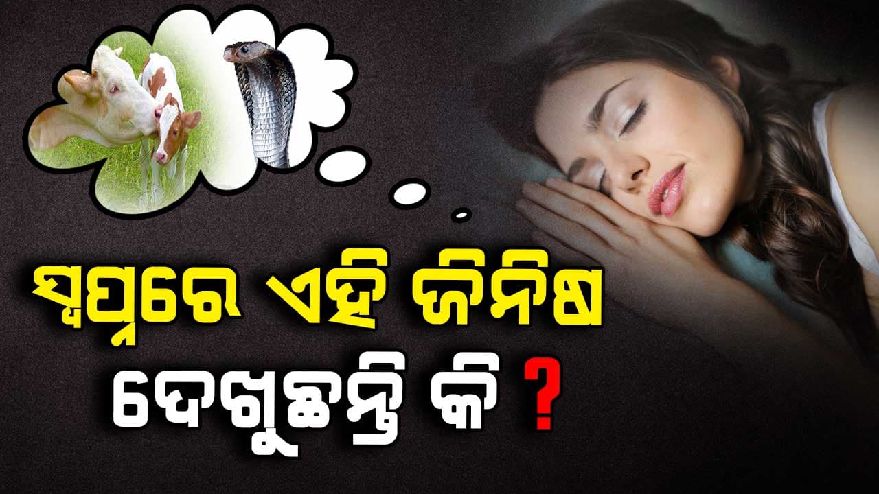 ସ୍ୱପ୍ନରେ ଏହି ଜିନିଷ ଦେଖିଲେ ମିଳିବ ଶୁଭ ଫଳ  