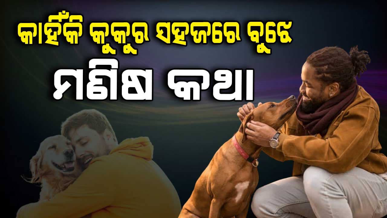 କୁକୁର ଏତେ ବୁଦ୍ଧିଆ କେମିତି ?