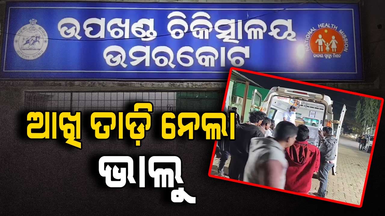 କାଠ ଆଣିବାକୁ ଯାଇଥିବା ବେଳେ ୨ ଜଣଙ୍କୁ ଘାଇଲା କଲା ଭାଲୁ 