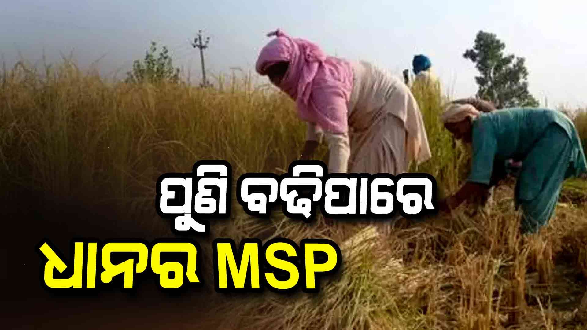 ବଢିପାରେ ଧାନର MSP; କେନ୍ଦ୍ର ଆଗରେ ପ୍ରସ୍ତାବ ରଖିଲେ ପୂର୍ବ ଭାରତ ରାଜ୍ୟର ପ୍ରତିନିଧି ମଣ୍ଡଳ