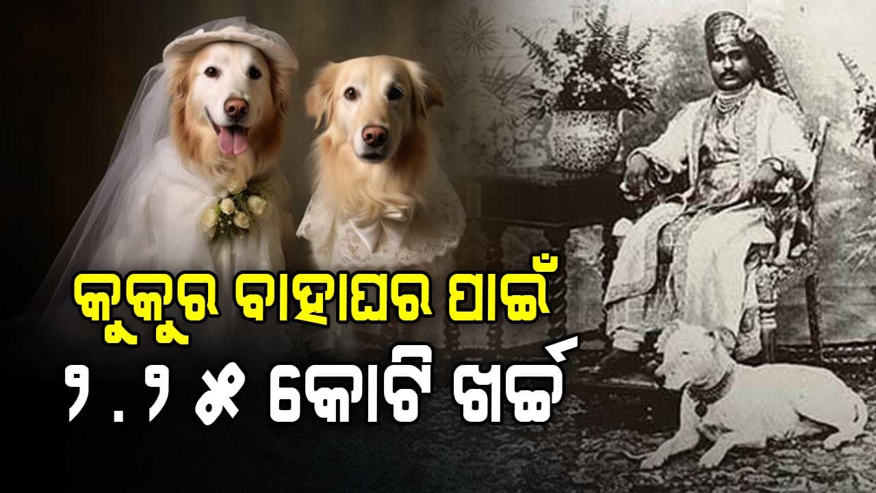 ଏହି ରାଜା କରାଉଥିଲେ କୁକୁରମାନଙ୍କ ବାହାଘର...