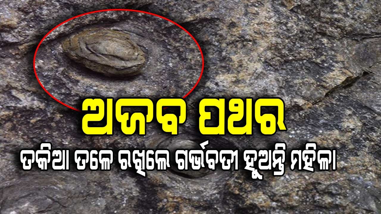 ବିଶ୍ବାସ ରହିଛି ନିଃସନ୍ତାନ ମହିଳାଙ୍କର ସନ୍ତାନ ହୁଏ 
