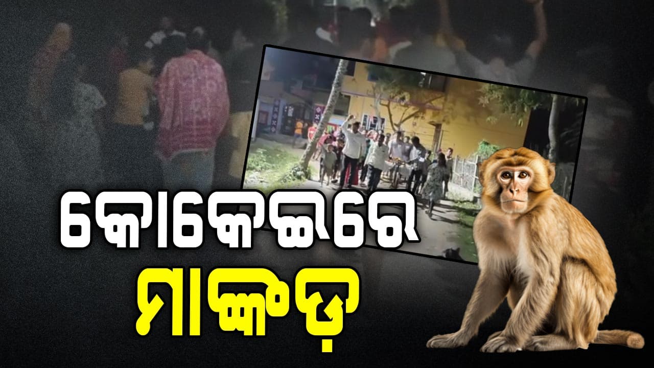 ମାଙ୍କଡ଼ ମୃତ୍ୟୁରେ ମ୍ରିୟମାଣ ଗ୍ରାମବାସୀ 