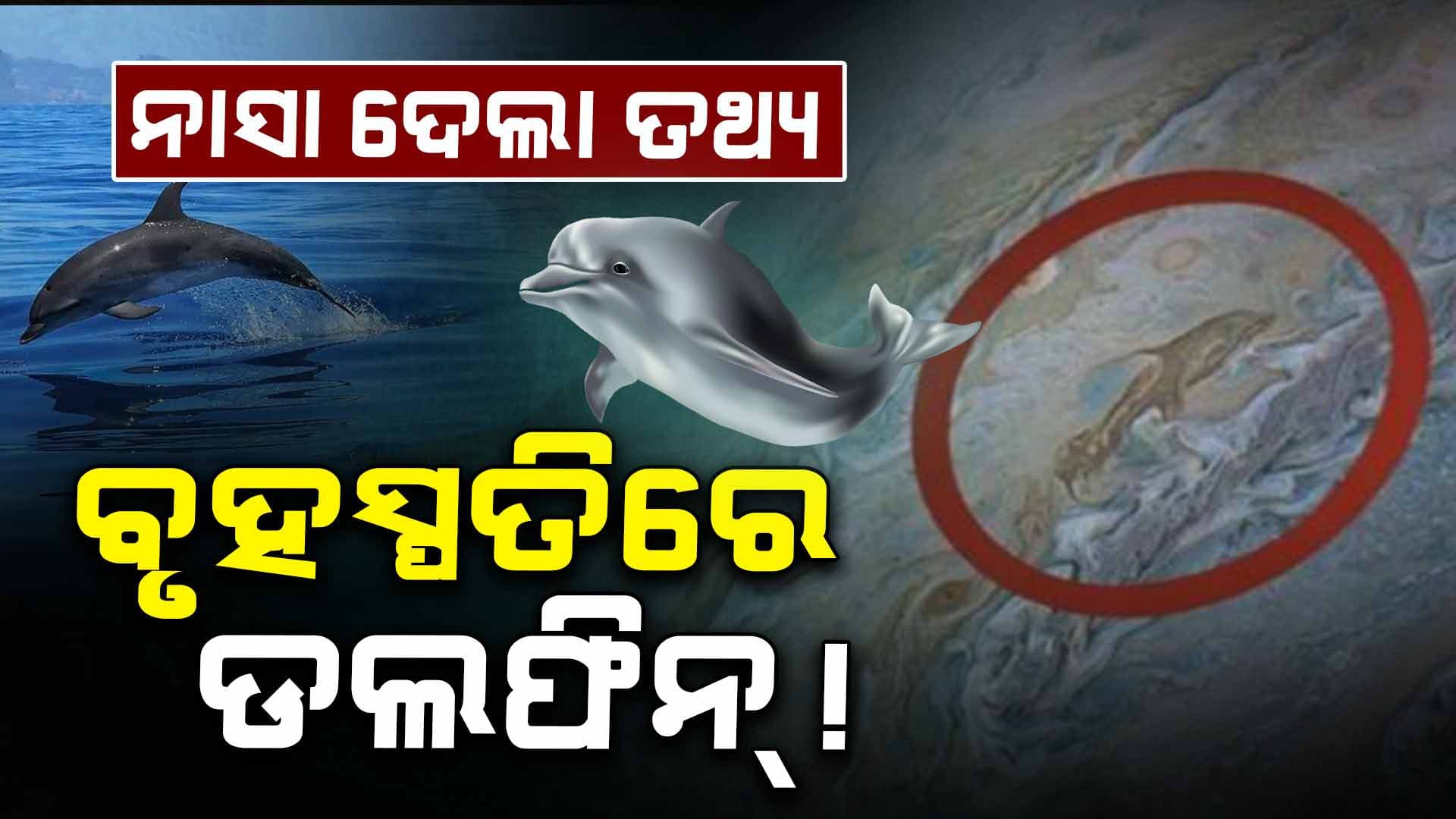 ବୃହସ୍ପତିରେ ଦେଖାଗଲା ଡଲଫିନ ମାଛ, ନାସାରୁ ଆସିଲା ଏମିତି ଫଟୋ