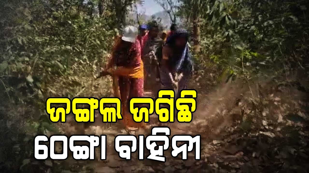ଗଛ କାଟିଲେ ହେବ ଠେଙ୍ଗା ପାହାର