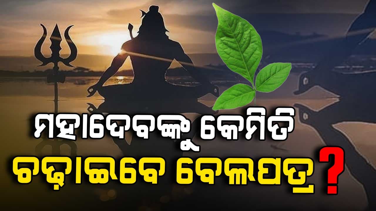 Mahashivratri: ବେଲପତ୍ରକୁ ଏମିତି ତୋଳି ମହାଦେବଙ୍କୁ କରନ୍ତୁ ଅର୍ପଣ, ପୂରଣ ହେବ ମନସ୍କାମନା