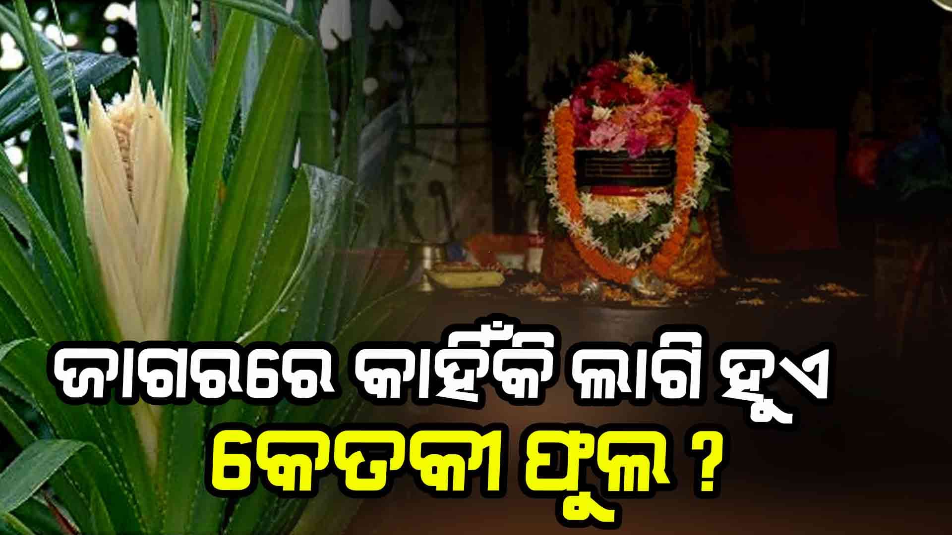 ଜାଗରରେ ଶିବଙ୍କୁ କେଉଁ ଫୁଲ ଅର୍ପଣ କଲେ ସବୁ ମନସ୍କାମନା ହୁଏ ପୂରଣ