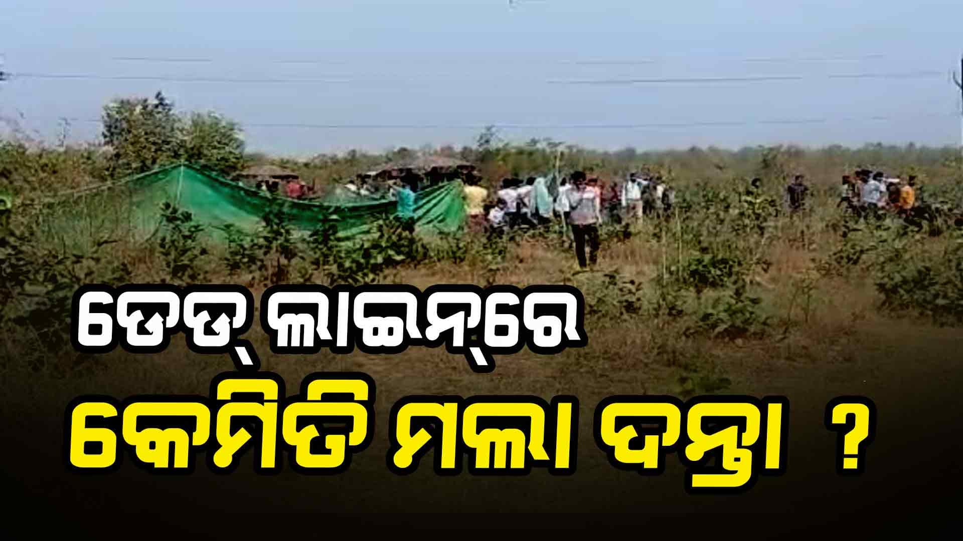 ବନ ବିଭାଗ ସହ ରହୁନି କି ବିଦ୍ୟୁତ୍ କର୍ମଚାରୀଙ୍କ ସମନ୍ଵୟ ? ଦନ୍ତା ମୃତ୍ୟୁ ପରେ ଉଠିଲା ପ୍ରଶ୍ନ  