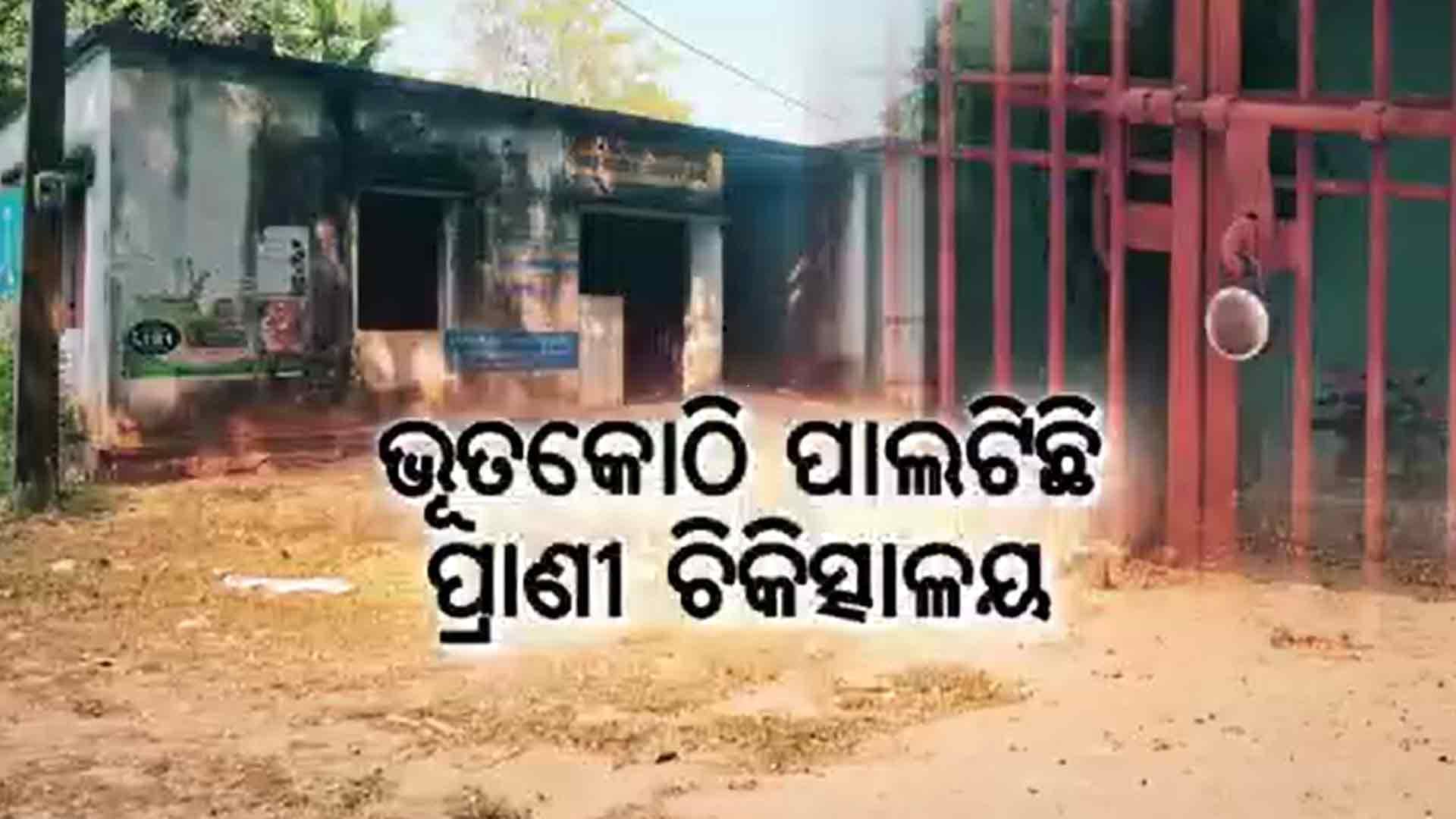 ୧୫ ପଶୁ ଡାକ୍ତରଖାନା ବନ୍ଦ, କେଉଁଠି ଛାତ ଭୁଶୁଡ଼ିଲାଣି ତ କେଉଁ ଛପର ଉଡ଼ିଲାଣି ! 