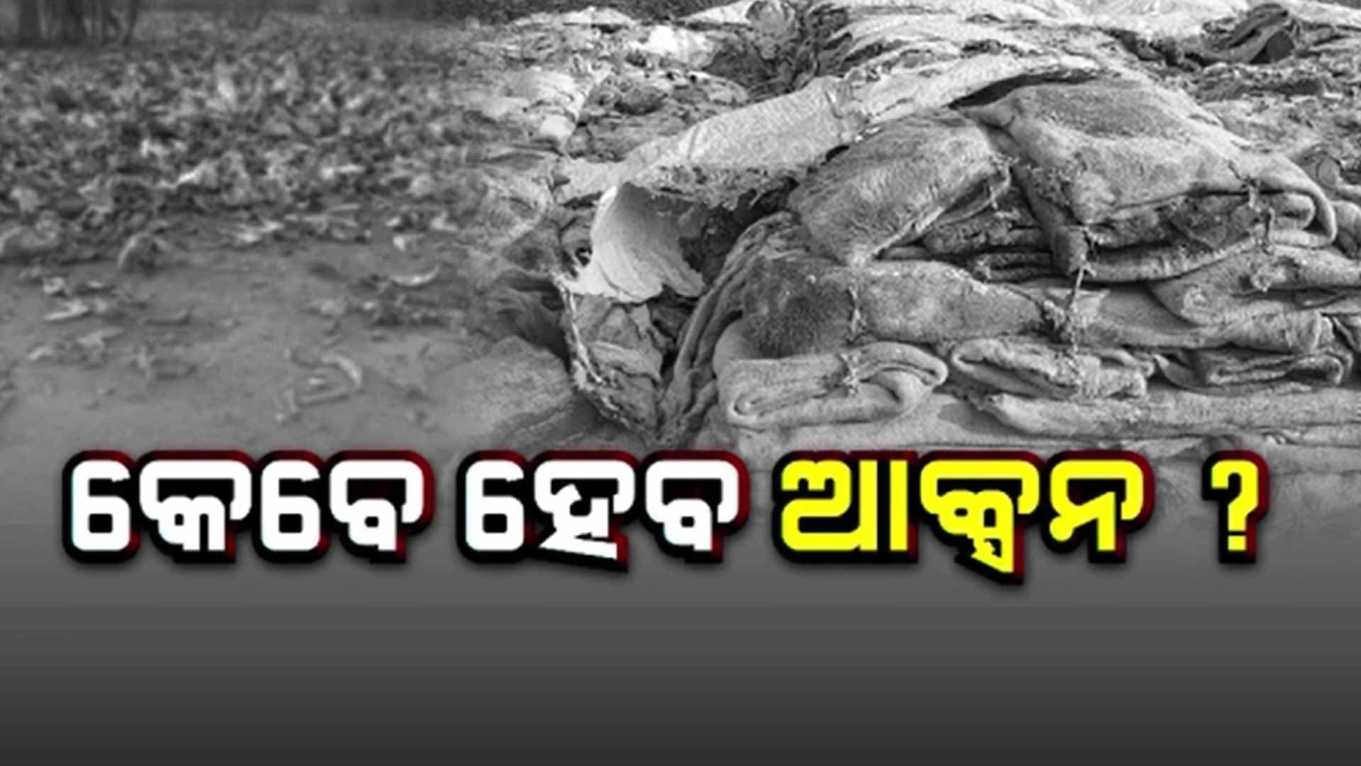ଜଙ୍ଗଲରେ ଗୋମାଂସ ପ୍ୟାକେଜିଂ ୟୁନିଟ୍ ହୋଇଥିଲା ନିର୍ମାଣ
