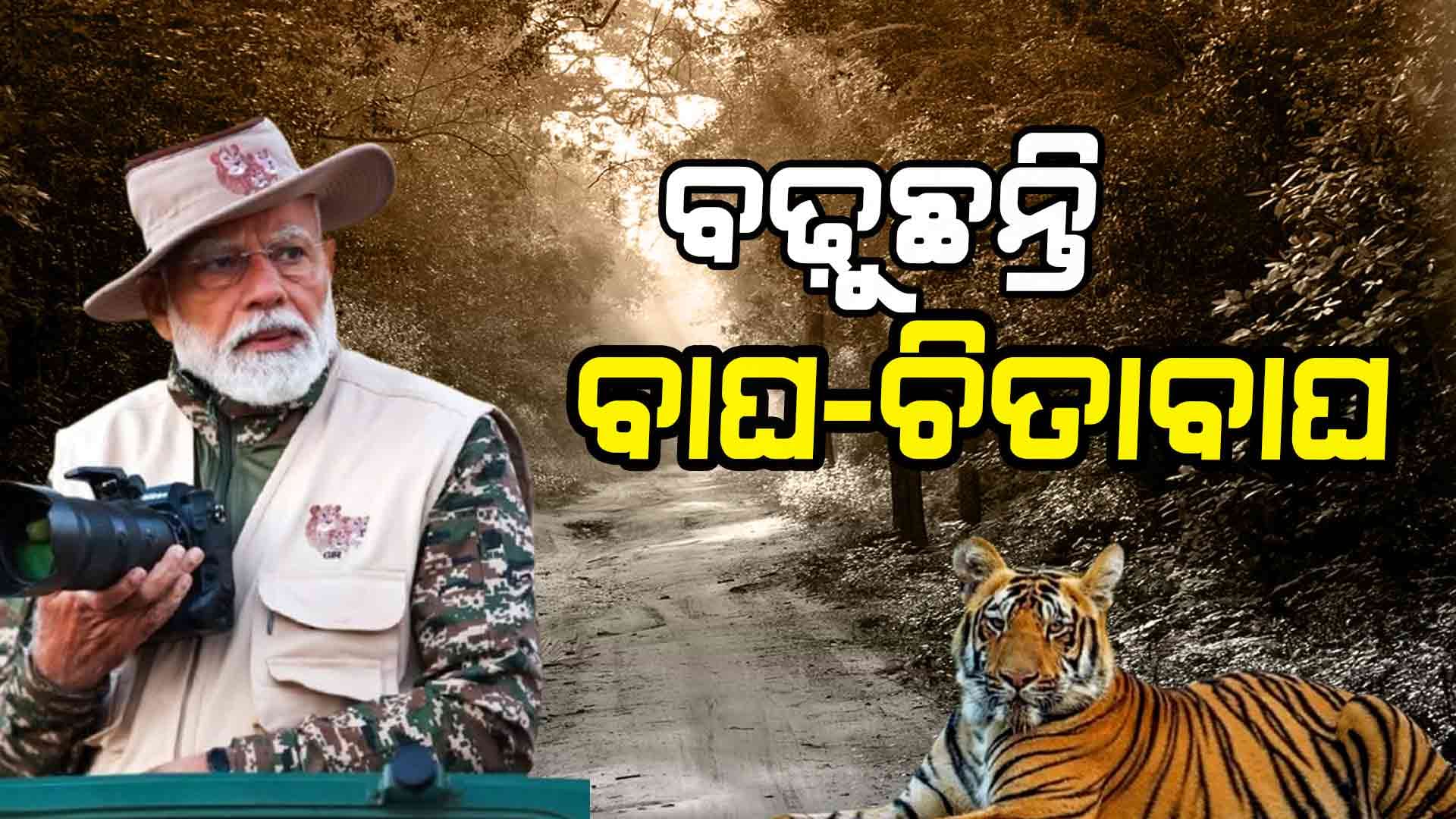 ବିଶ୍ୱ ବନ୍ୟଜନ୍ତୁ ଦିବସରେ ସୁନ୍ଦର ଭିଡିଓ ପୋଷ୍ଟ କଲେ ମୋଦି, ଦେଖନ୍ତୁ...