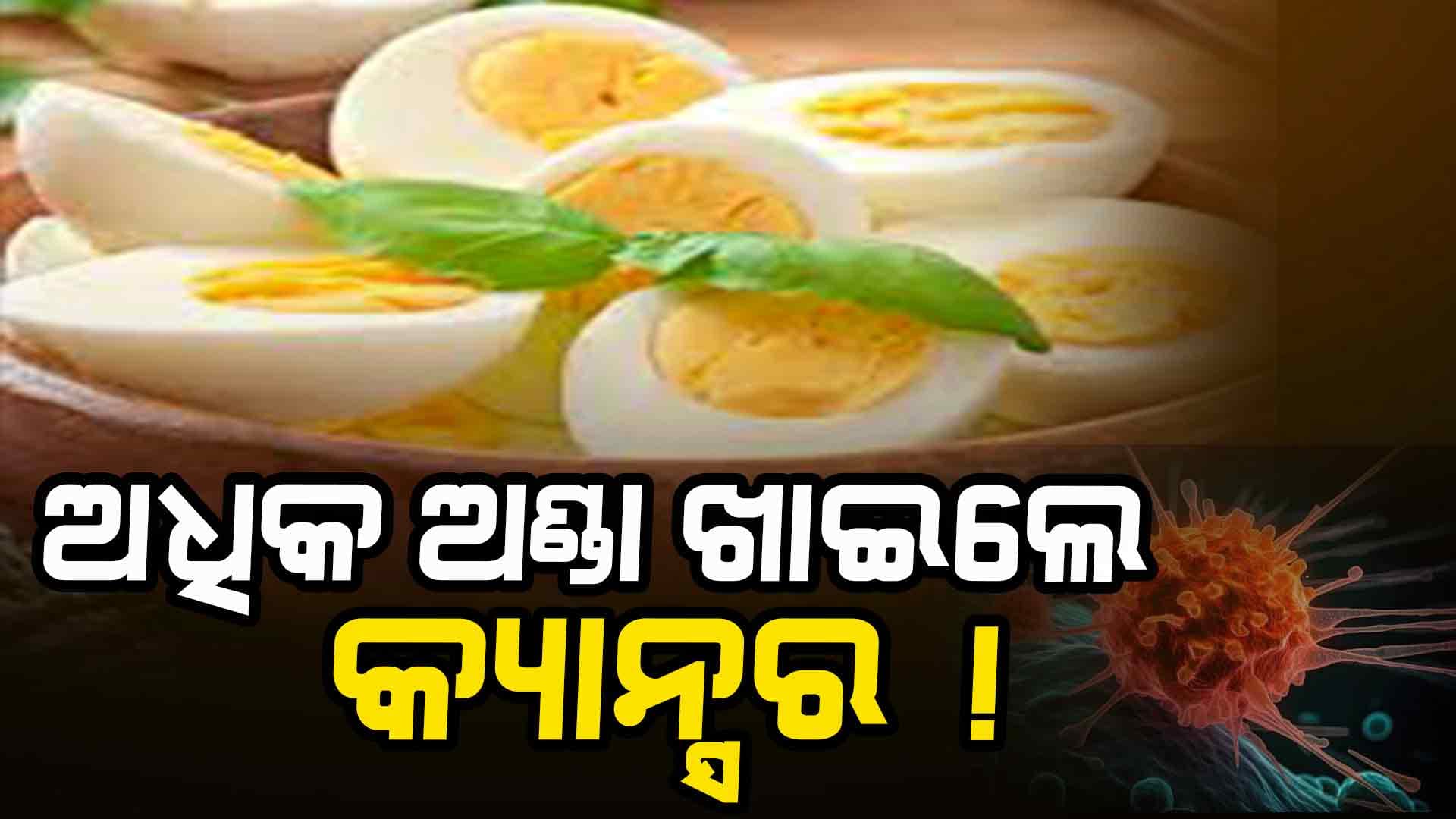 ସାବଧାନ! ଅଧିକ ଅଣ୍ଡା ଖାଇଲେ ହେବ କ୍ୟାନସର...