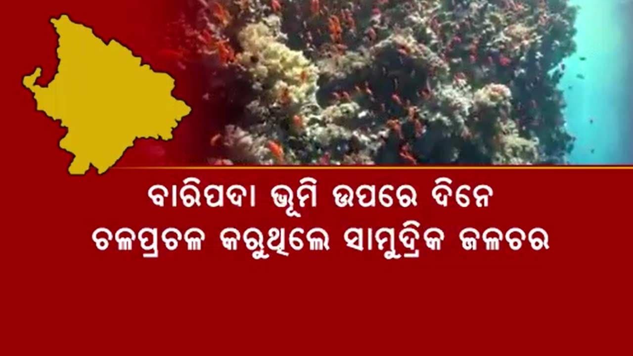 ବୁଢାବଳଙ୍ଗ ନଦୀ ଶଯ୍ୟାରେ ଲୁଚିଛି ବହୁ ଅନାଲୋଚିତ ରହସ୍ୟ