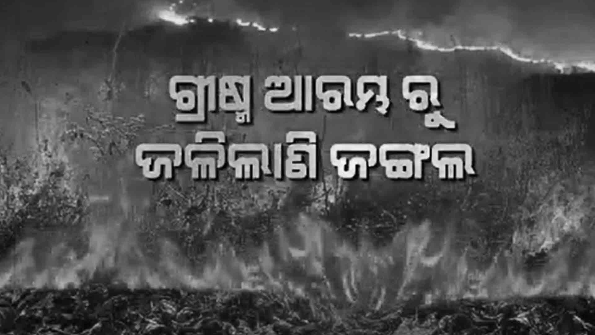 ନିଆଁ ଲାଗିବାରେ ତେଲେଙ୍ଗାନା ପରେ ଓଡିଶା ଦ୍ଵିତୀୟ 