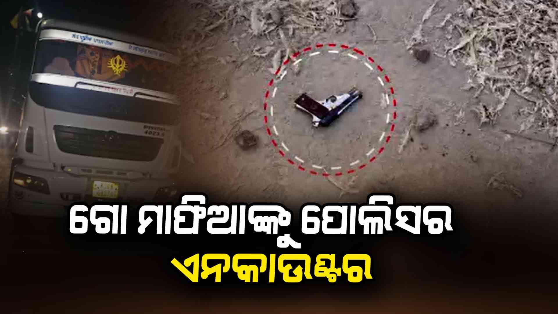 ଗୋ ମାଫିଆ ଓ ପୋଲିସ ମୁହାଁମୁହିଁ, ଏନକାଉଣ୍ଟରେ ଦୁଇ ଗୋଚାଲାଣକାରୀ ଆହତ