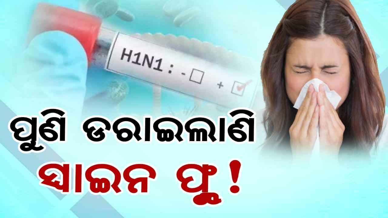 ଦେଶରେ ବଢ଼ି ଚାଲିଛି ସ୍ୱାଇନ୍‌ ଫ୍ଲୁ !