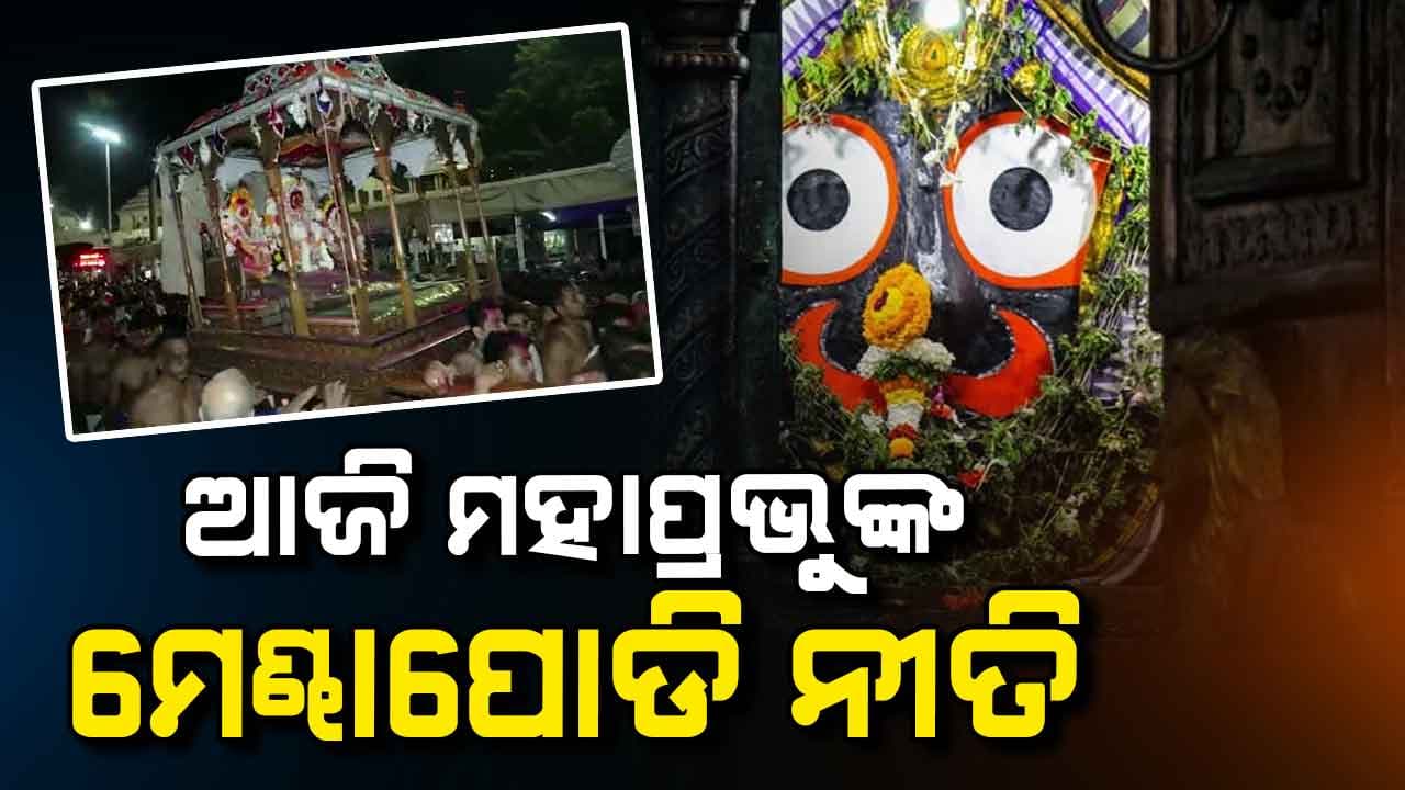 ମେଣ୍ଢାପୋଡି ନୀତି କଣ ?
